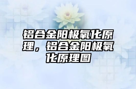 鋁合金陽極氧化原理，鋁合金陽極氧化原理圖