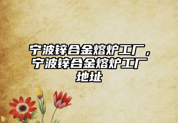 寧波鋅合金熔爐工廠，寧波鋅合金熔爐工廠地址