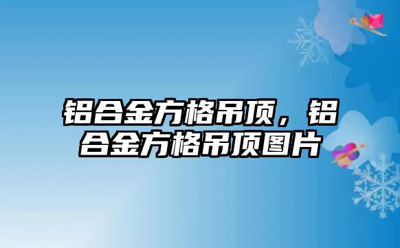 鋁合金方格吊頂，鋁合金方格吊頂圖片