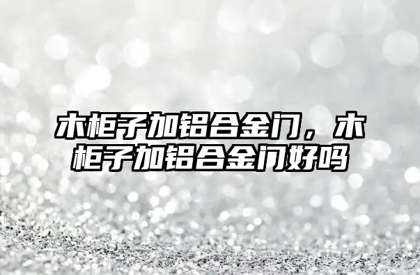 木柜子加鋁合金門，木柜子加鋁合金門好嗎