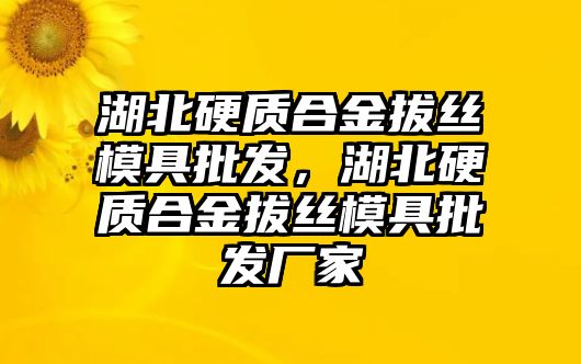 湖北硬質(zhì)合金拔絲模具批發(fā)，湖北硬質(zhì)合金拔絲模具批發(fā)廠家