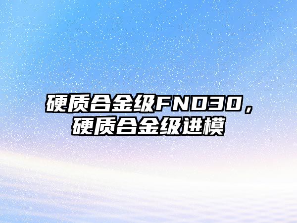 硬質(zhì)合金級FND30，硬質(zhì)合金級進模