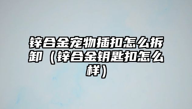 鋅合金寵物插扣怎么拆卸（鋅合金鑰匙扣怎么樣）