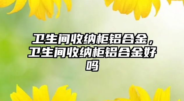 衛(wèi)生間收納柜鋁合金，衛(wèi)生間收納柜鋁合金好嗎