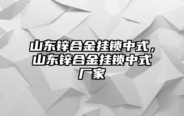 山東鋅合金掛鎖中式，山東鋅合金掛鎖中式廠家