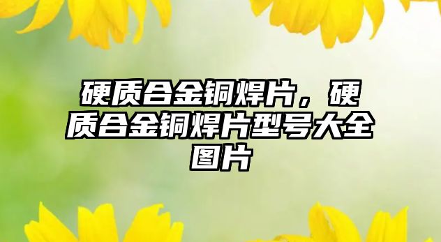 硬質合金銅焊片，硬質合金銅焊片型號大全圖片