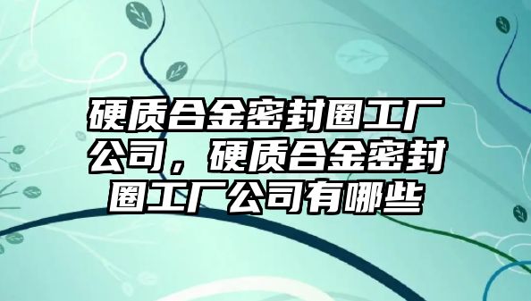 硬質(zhì)合金密封圈工廠公司，硬質(zhì)合金密封圈工廠公司有哪些