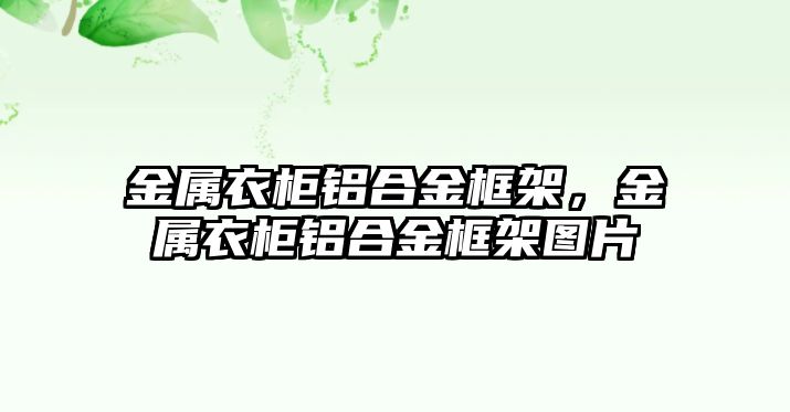 金屬衣柜鋁合金框架，金屬衣柜鋁合金框架圖片