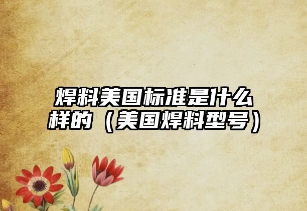 焊料美國標(biāo)準(zhǔn)是什么樣的（美國焊料型號）