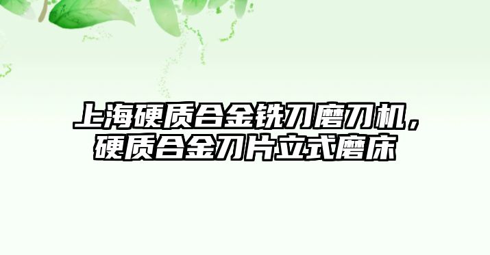 上海硬質(zhì)合金銑刀磨刀機，硬質(zhì)合金刀片立式磨床