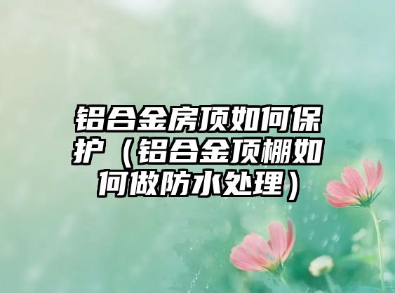 鋁合金房頂如何保護（鋁合金頂棚如何做防水處理）