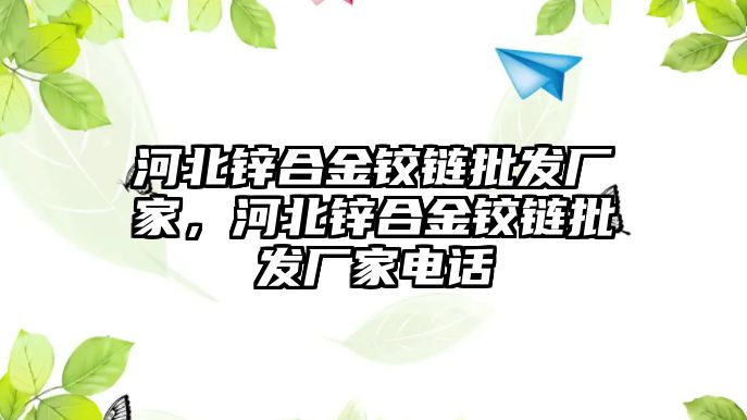 河北鋅合金鉸鏈批發(fā)廠家，河北鋅合金鉸鏈批發(fā)廠家電話