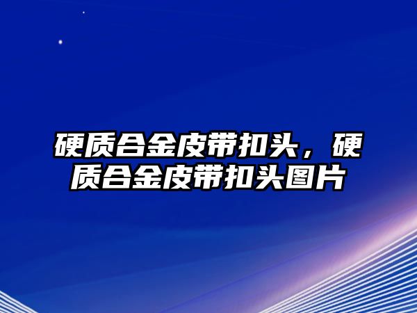 硬質合金皮帶扣頭，硬質合金皮帶扣頭圖片