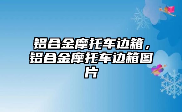 鋁合金摩托車邊箱，鋁合金摩托車邊箱圖片