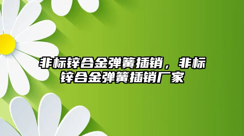 非標鋅合金彈簧插銷，非標鋅合金彈簧插銷廠家