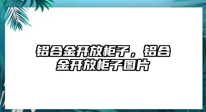 鋁合金開放柜子，鋁合金開放柜子圖片