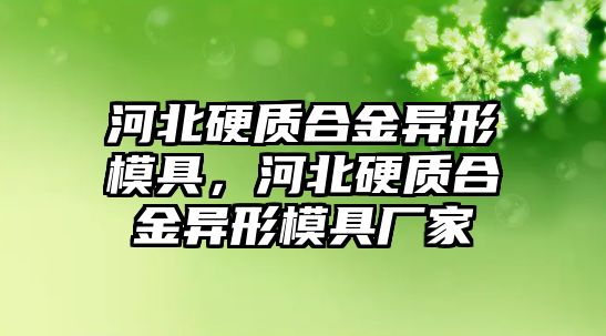 河北硬質(zhì)合金異形模具，河北硬質(zhì)合金異形模具廠家