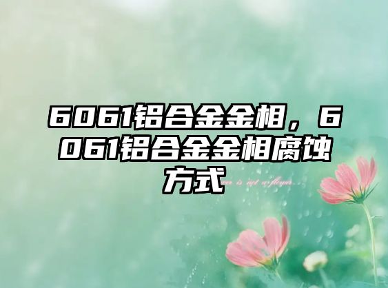 6061鋁合金金相，6061鋁合金金相腐蝕方式