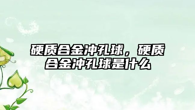 硬質(zhì)合金沖孔球，硬質(zhì)合金沖孔球是什么