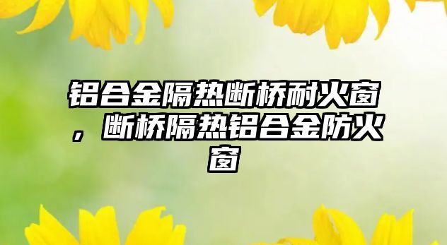 鋁合金隔熱斷橋耐火窗，斷橋隔熱鋁合金防火窗