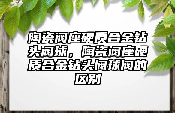 陶瓷閥座硬質(zhì)合金鉆頭閥球，陶瓷閥座硬質(zhì)合金鉆頭閥球閥的區(qū)別