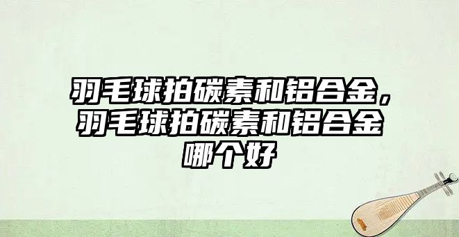 羽毛球拍碳素和鋁合金，羽毛球拍碳素和鋁合金哪個好