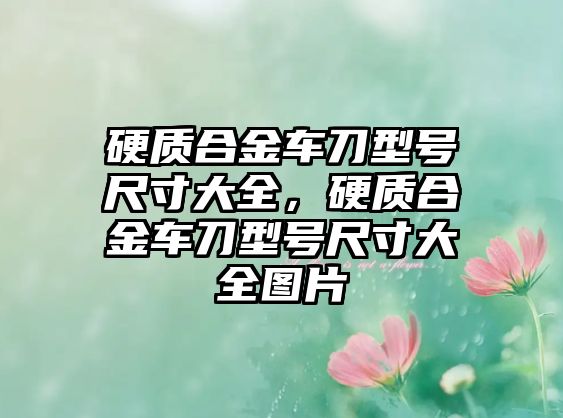 硬質(zhì)合金車刀型號尺寸大全，硬質(zhì)合金車刀型號尺寸大全圖片