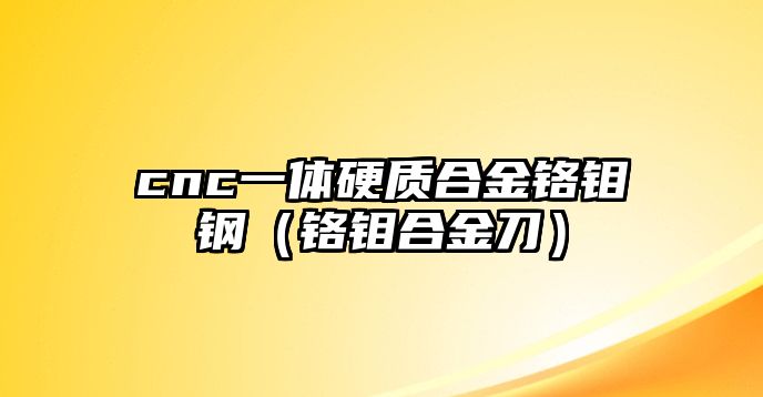 cnc一體硬質(zhì)合金鉻鉬鋼（鉻鉬合金刀）