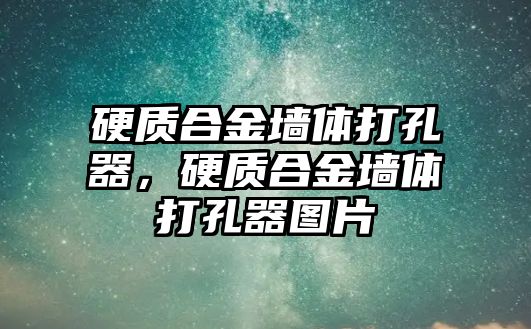 硬質(zhì)合金墻體打孔器，硬質(zhì)合金墻體打孔器圖片