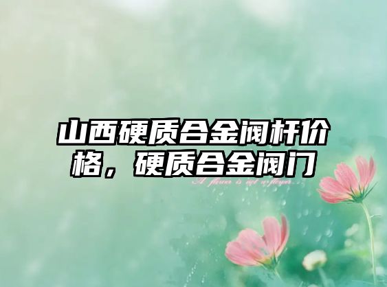 山西硬質(zhì)合金閥桿價(jià)格，硬質(zhì)合金閥門