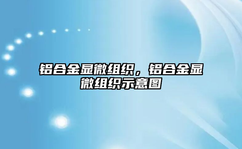 鋁合金顯微組織，鋁合金顯微組織示意圖