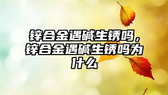 鋅合金遇堿生銹嗎，鋅合金遇堿生銹嗎為什么