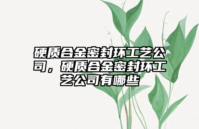 硬質(zhì)合金密封環(huán)工藝公司，硬質(zhì)合金密封環(huán)工藝公司有哪些