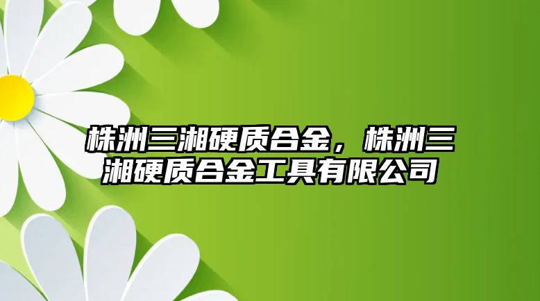 株洲三湘硬質(zhì)合金，株洲三湘硬質(zhì)合金工具有限公司