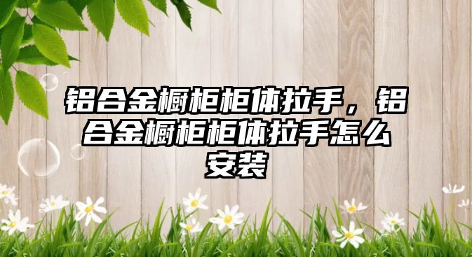 鋁合金櫥柜柜體拉手，鋁合金櫥柜柜體拉手怎么安裝