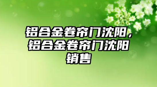 鋁合金卷簾門沈陽，鋁合金卷簾門沈陽銷售