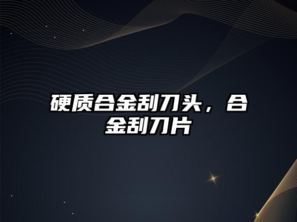 硬質(zhì)合金刮刀頭，合金刮刀片