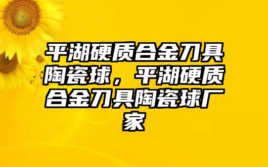 平湖硬質(zhì)合金刀具陶瓷球，平湖硬質(zhì)合金刀具陶瓷球廠家