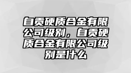 自貢硬質(zhì)合金有限公司級(jí)別，自貢硬質(zhì)合金有限公司級(jí)別是什么