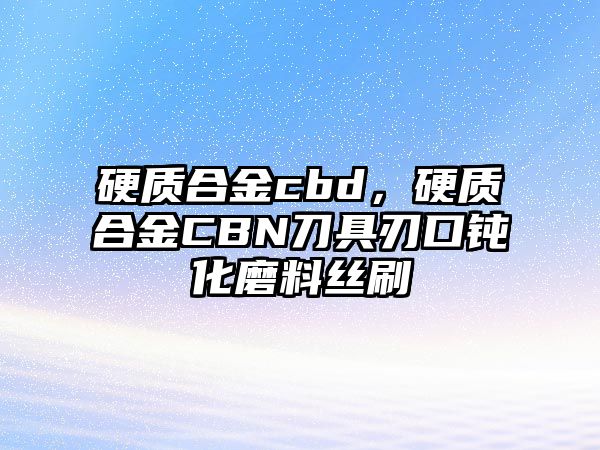 硬質(zhì)合金cbd，硬質(zhì)合金CBN刀具刃口鈍化磨料絲刷