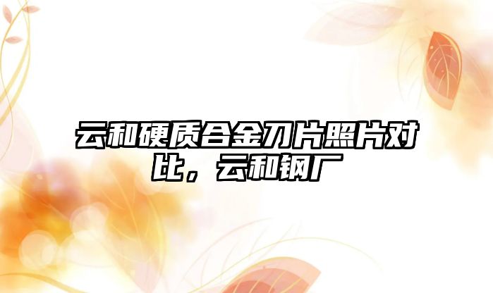 云和硬質(zhì)合金刀片照片對比，云和鋼廠