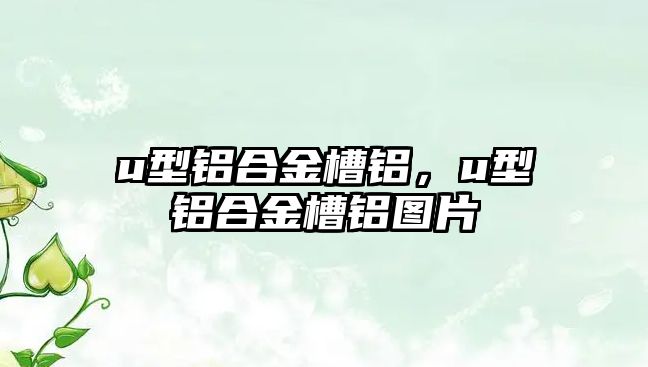 u型鋁合金槽鋁，u型鋁合金槽鋁圖片