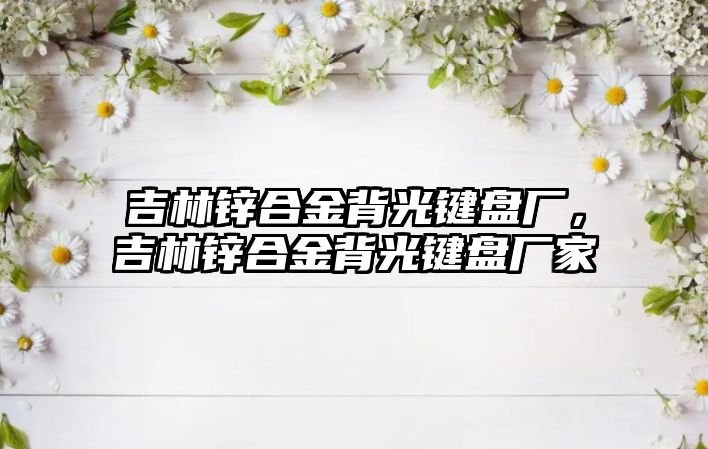 吉林鋅合金背光鍵盤廠，吉林鋅合金背光鍵盤廠家