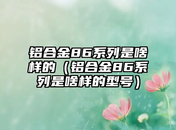 鋁合金86系列是啥樣的（鋁合金86系列是啥樣的型號(hào)）