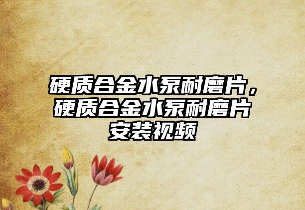 硬質(zhì)合金水泵耐磨片，硬質(zhì)合金水泵耐磨片安裝視頻