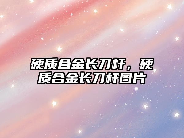 硬質(zhì)合金長刀桿，硬質(zhì)合金長刀桿圖片