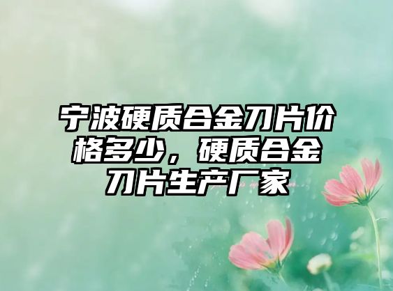 寧波硬質(zhì)合金刀片價格多少，硬質(zhì)合金刀片生產(chǎn)廠家