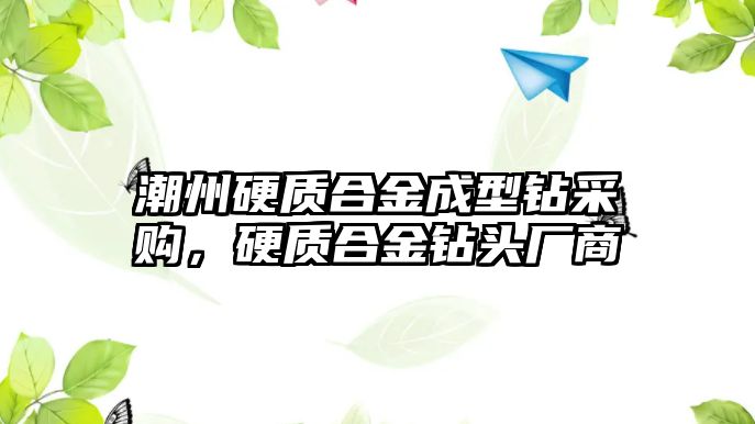 潮州硬質(zhì)合金成型鉆采購，硬質(zhì)合金鉆頭廠商