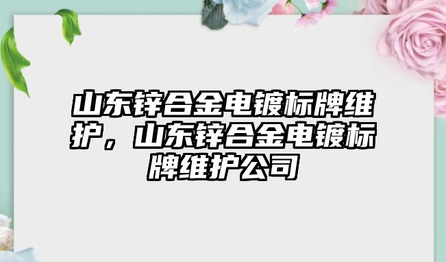 山東鋅合金電鍍標牌維護，山東鋅合金電鍍標牌維護公司