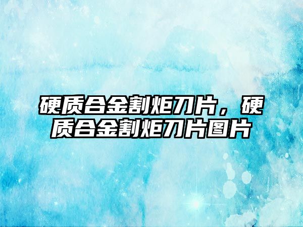 硬質(zhì)合金割炬刀片，硬質(zhì)合金割炬刀片圖片